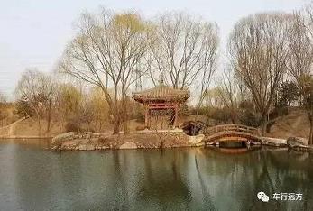 在线水果机