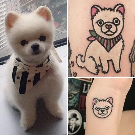 lol比赛开盘是什么软件